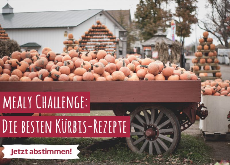 Wir suchen die besten Kürbis-Rezepte von unseren Foodbloggern!